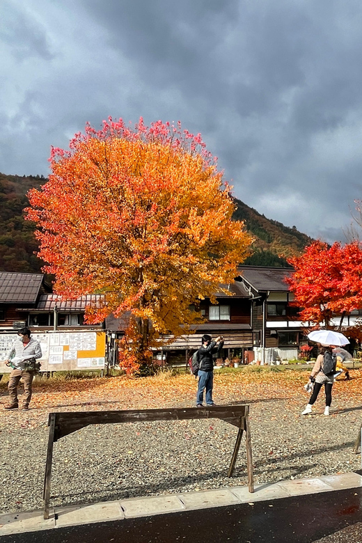 Shirakawa-go UNESCO Half-Day Tour from Takayama - Free time for photographs and exploring
