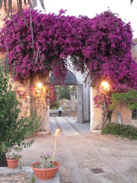Sicilian cooking class in the historic baglio Florio Adamo - Key points at a glance