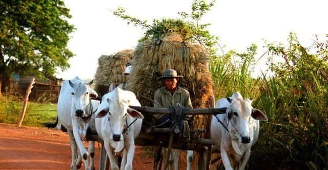 Siem Reap: 3-Hour Ancient Trails Motorbike Tour - Why this ride shows you a different Siem Reap