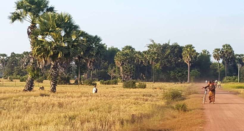 Siem Reap: 3-Hour Ancient Trails Motorbike Tour - Dirt tracks, rice fields, and village roads