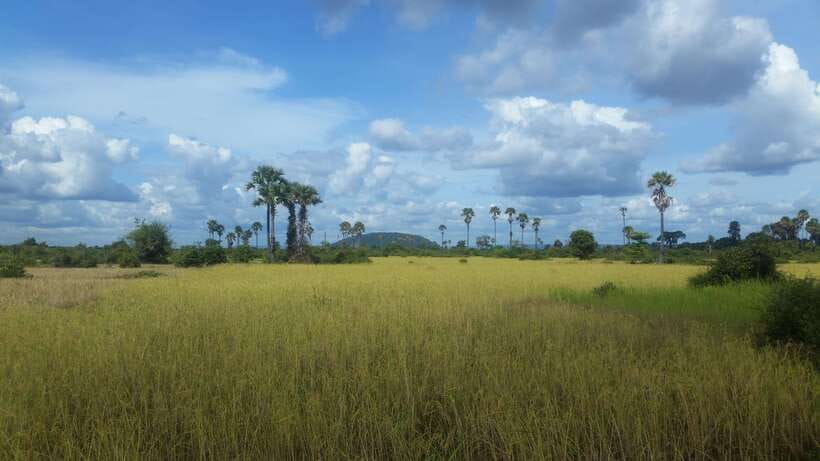 Siem Reap: 3-Hour Ancient Trails Motorbike Tour - Is $44 good value?