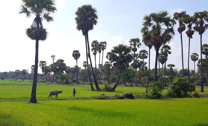 Siem Reap: 3-Hour Ancient Trails Motorbike Tour - Who will enjoy this motorbike tour most?