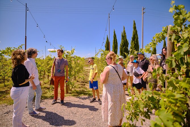 Siena, San Gimignano and Chianti Wines Day Tour from Florence - Siena and Piazza del Campo