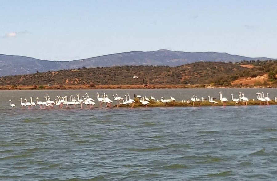 Silves History - Nature Boat Tour - free drink and Port wine - Who should book this Algarve boat tour?