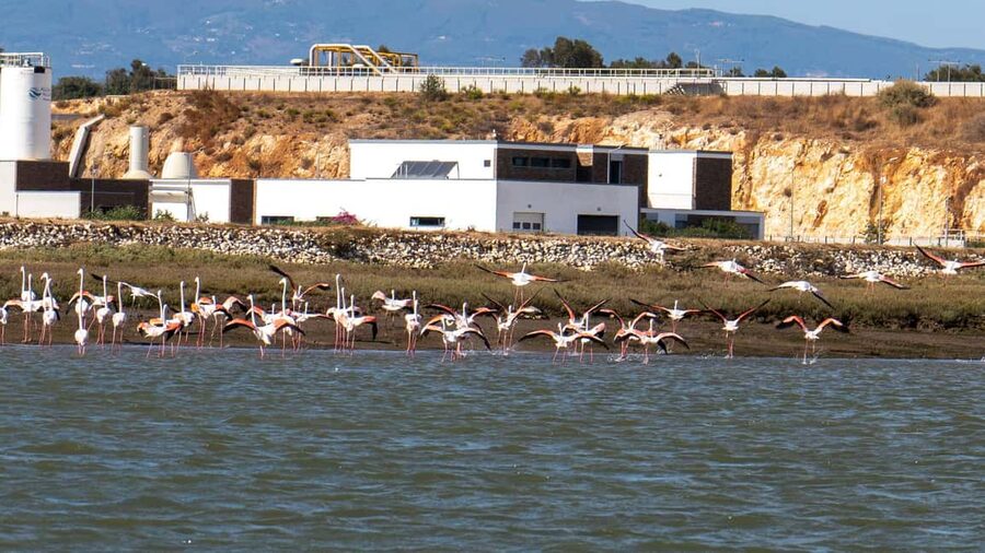 Silves History - Nature Boat Tour - free drink and Port wine - The return journey along the river
