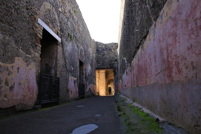 Skip the Line Guided Tour of Pompeii led by an Archaeologist - Reaching the Forum, Pompeii’s public heart