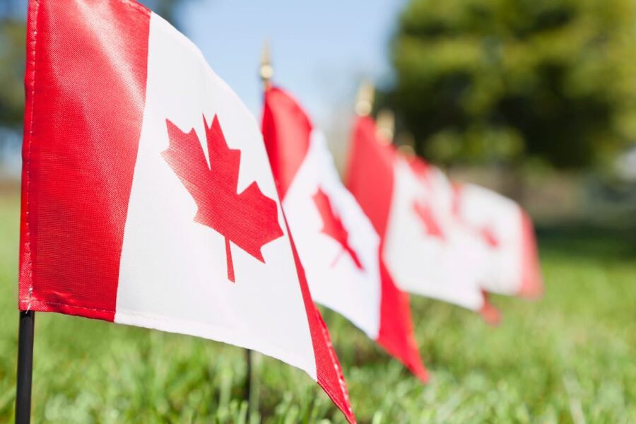 Small-Group Canadian Normandy D-Day Juno Beach from Paris - Key points to know before booking