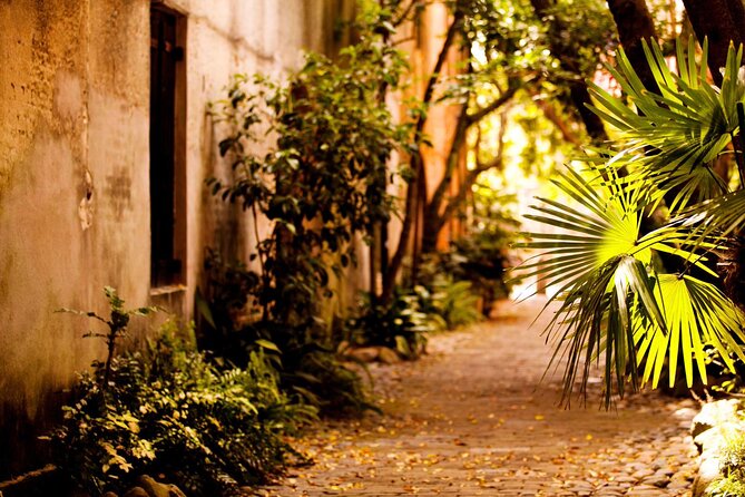 Small Group Historic Charleston walking Tour - A tour shaped by Mike Frederick’s local connection