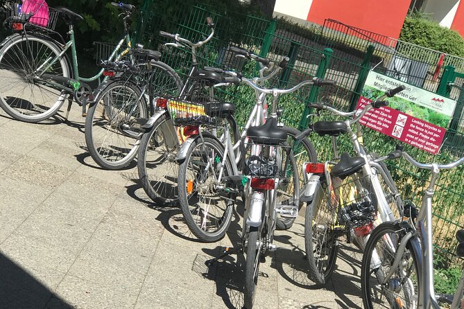 Small-Group Historical Bike Tour in Berlin - Reichstag and the Brandenburg Gate