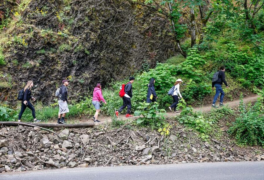 Snoqualmie, Twin Falls & Ancient Forest (Transport Included) - Olallie State Park and the old-growth setting
