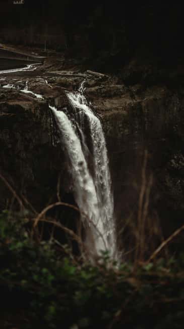 Snoqualmie, Twin Falls & Ancient Forest (Transport Included) - How the guide shapes the experience