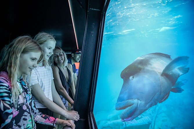 Snorkel & Dive the Reef: Sustainable, Scientific & Cultural Tour - Crowds, safety, and comfort