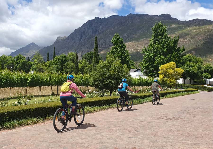 Stellenbosch: Historical Bike Tour & Wine Tasting - The ride back through Stellenbosch University