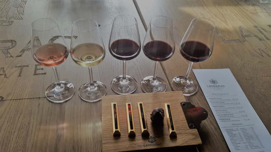 Stellenbosch: Historical Bike Tour & Wine Tasting - Booking details worth knowing