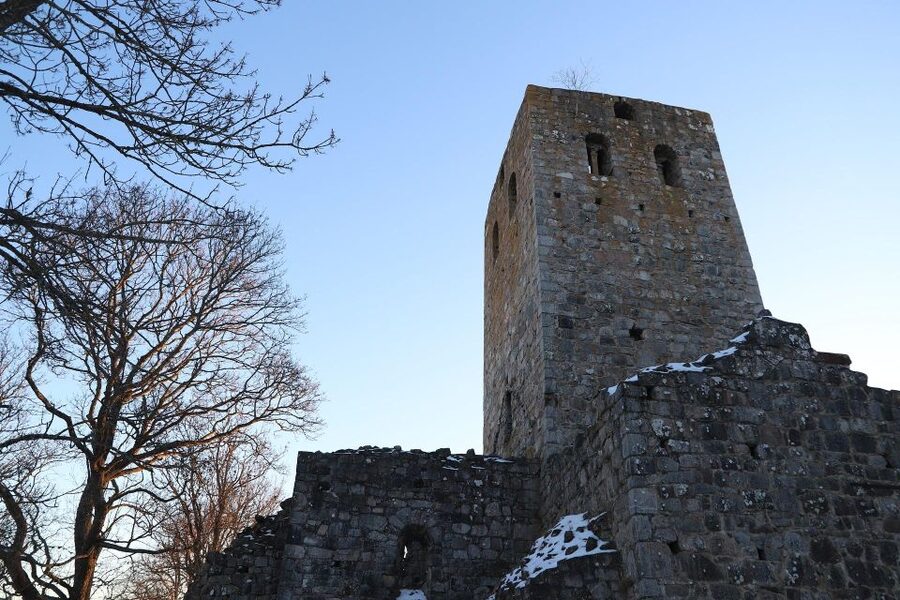 Stockholm: Sigtuna and Uppsala Viking History Day Tour - Key points at a glance