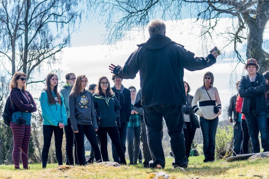 Stockholm: Sigtuna and Uppsala Viking History Day Tour - How much value do you get for $255?