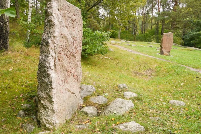 Stockholm Viking History Full Day Tour to Sigtuna + Uppsala - Why the Viking sites outside Stockholm matter