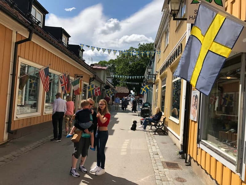 Stockholm Viking History Full Day Tour to Sigtuna + Uppsala - The drive toward Uppsala County