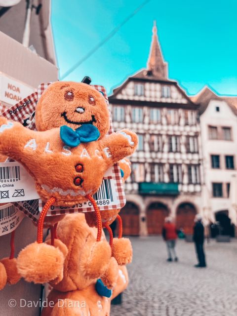 Strasbourg: Guided Historical Neighborhoods Walking Tour - Price, pace, and physical comfort
