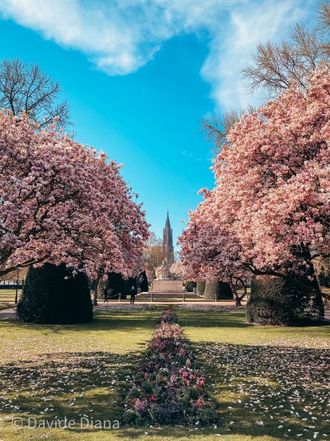 Strasbourg: Guided Historical Neighborhoods Walking Tour - Place Broglie and the city’s grand public spaces