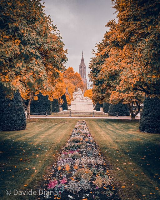 Strasbourg: Guided Historical Neighborhoods Walking Tour - How the guide’s style affects the experience