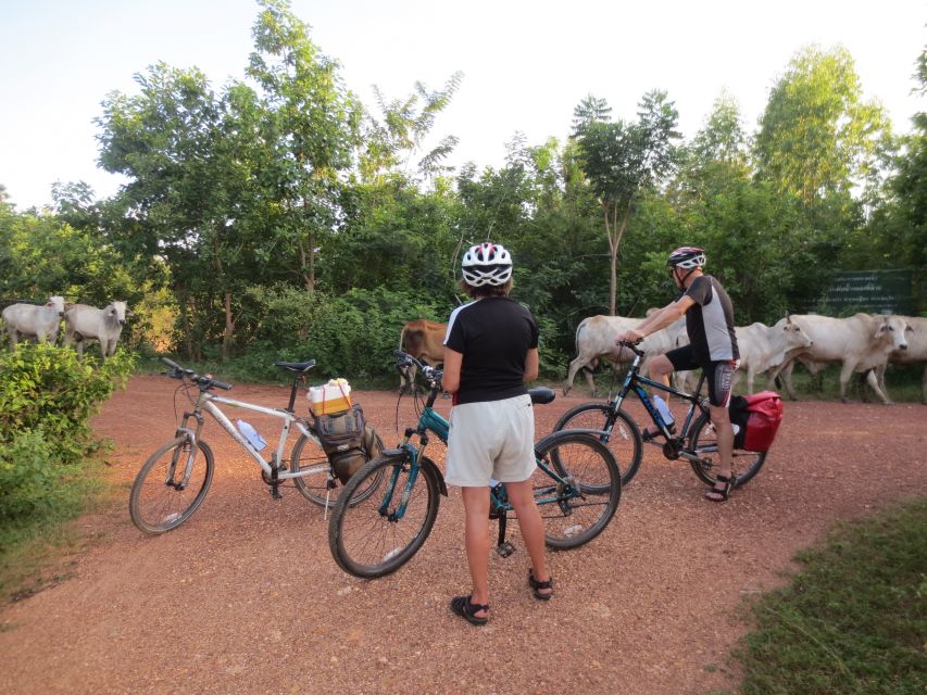 Sukhothai: Historical Park & Countryside Cycling Tour - From Ban Khuai to the rice paddies