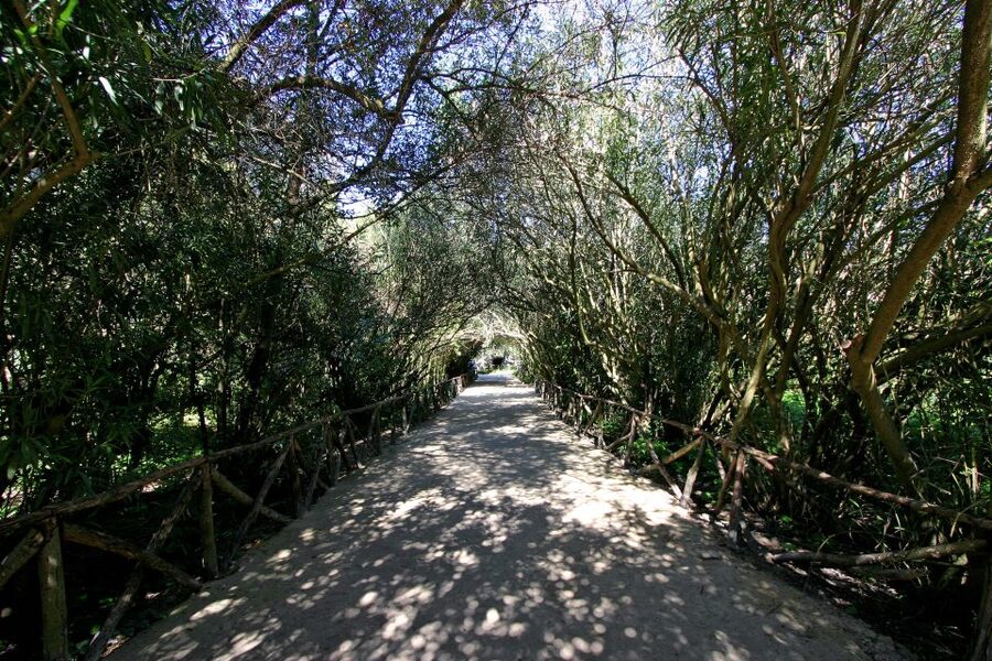 Syracuse: Neapolis Archaeological Park Small Group Tour - What the guides add to the visit