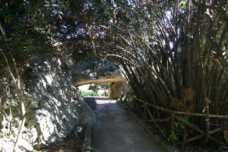 Syracuse: Neapolis Archaeological Park Small Group Tour - Starting at Latomie del Paradiso