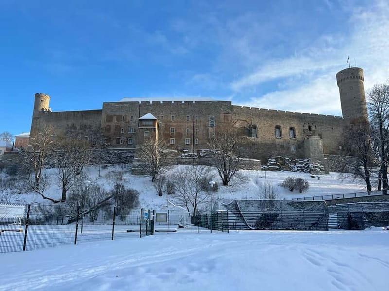 Tallinn: Medieval Walking Tour - What the guides add
