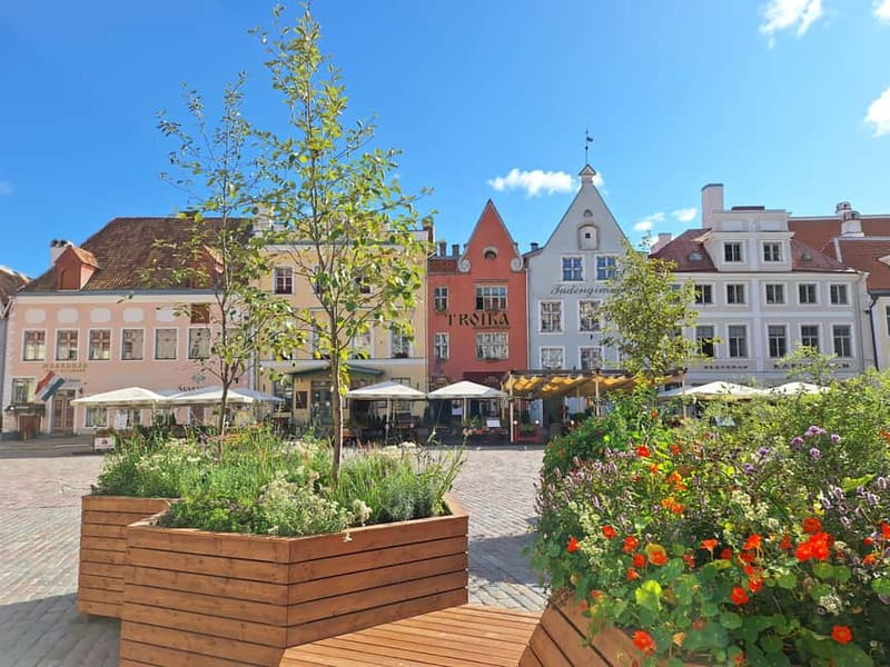 Tallinn: Private Guided Walking Tour of the Medieval City - The city wall views that make the route worthwhile