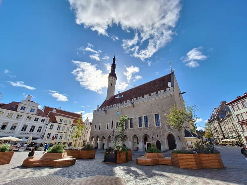 Tallinn: Private Guided Walking Tour of the Medieval City - Starting in the Lower Town