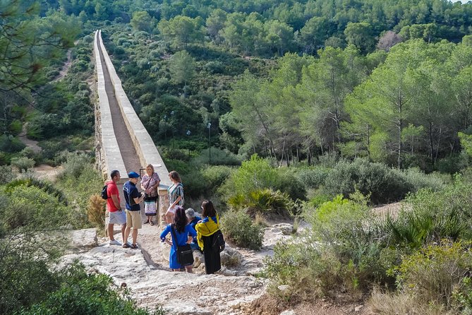 Tarragona and Sitges Small Group Tour - Roman History & Culture - Meeting near Palau de la Música at 8:15 a.m.