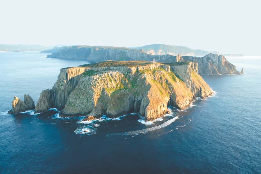 Tasman Peninsula Tour, Cruise & Port Arthur Historic Site - Wildlife sightings depend on the day
