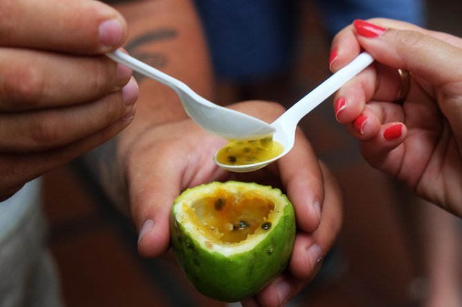 Taste Funchal: food, wine & cultural tour - Why this is a smart first taste of Funchal