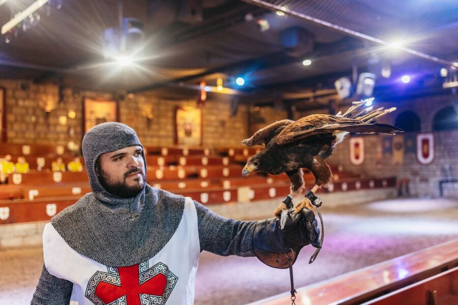 Tenerife: Castillo San Miguel Medieval Show and Banquet - Key points to know before booking