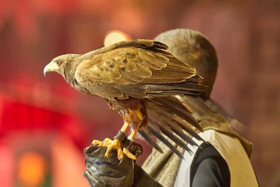 Tenerife: Castillo San Miguel Medieval Show and Banquet - Choosing between standard and VIP seating
