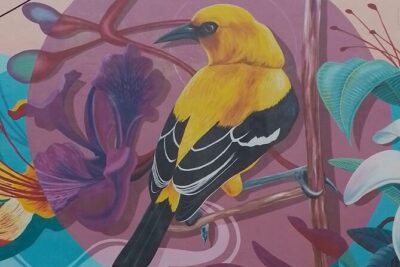 The Curacao’s Colorful History Walking Tour