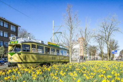 The Hague: Hop-on Hop-off Heritage Tram Tour