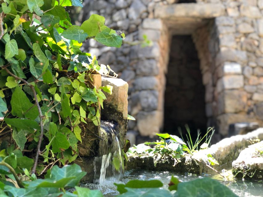 The Limestone Heritage Park and Gardens (Entry Ticket) - Key points to know before you go