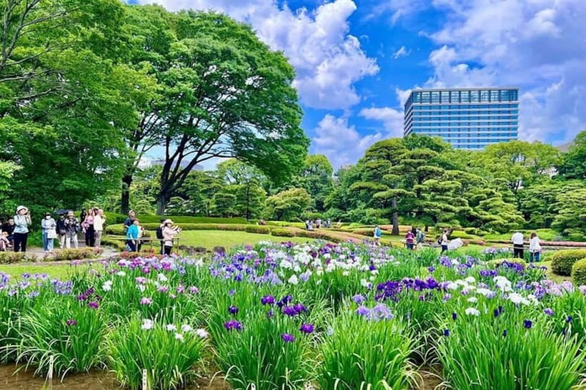 Tokyo: Edo Castle & East Garden of the Imperial Palace Tour - Practical tips for a smoother visit