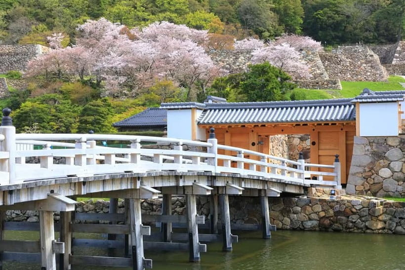 Tokyo: Edo Castle & East Garden of the Imperial Palace Tour - Who will enjoy this tour most