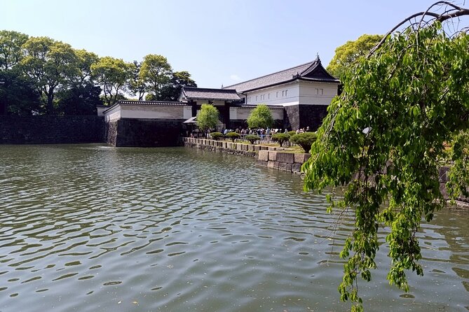 Tokyo: Imperial Palace and Shogun Historical Walking Tour - Group size, pace, and the real walking demands