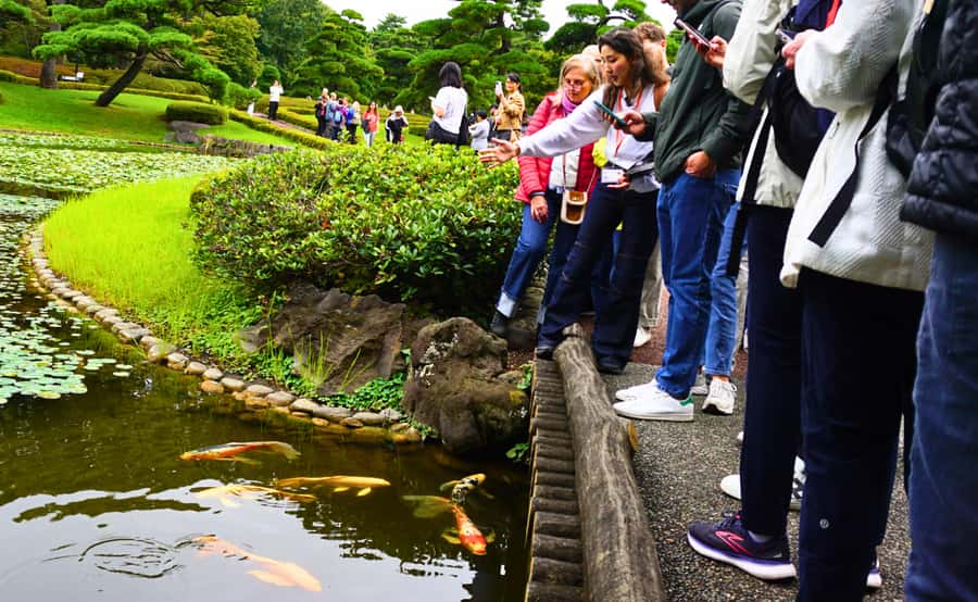 Tokyo: Imperial Palace Japanese History Walking Tour - Why Edo Castle Matters in the Middle of Tokyo