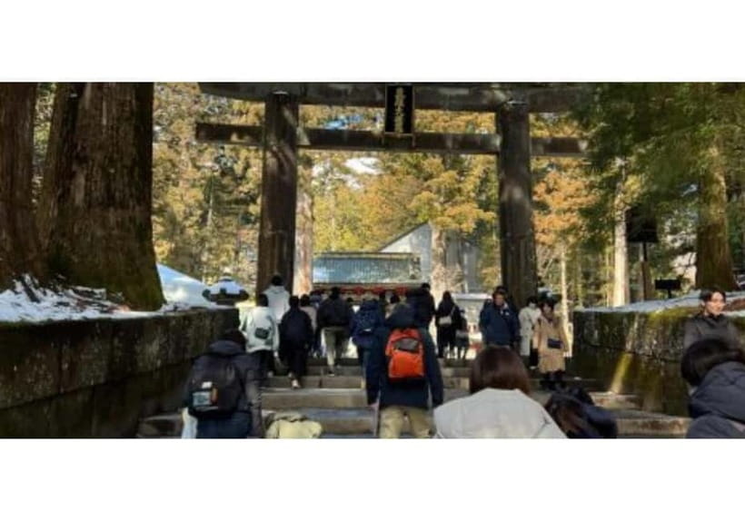 Tokyo: Nikko World Heritage Private Day Trip Hotel Pick-up - Toshogu Shrine, Nikko’s great centerpiece