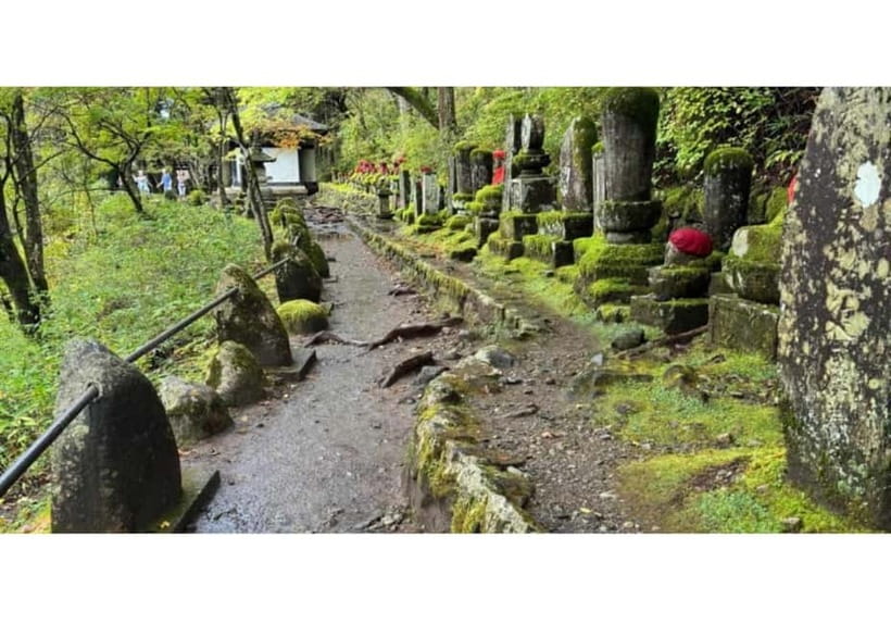 Tokyo: Nikko World Heritage Private Day Trip Hotel Pick-up - The vehicle, service, and guide style