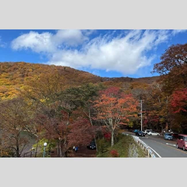Tokyo: Nikko World Heritage Private Day Trip Hotel Pick-up - Shinkyo Bridge and the first view of Nikko
