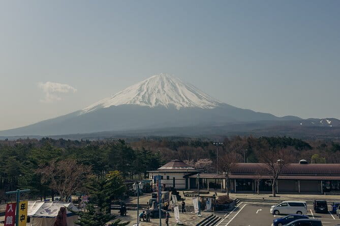 Tokyo: Shinjuku Historical Walking Tour & Secret Backstreets - What the guides add