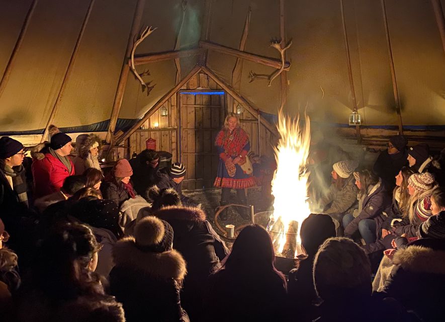 Tromsø: Reindeer Camp and Sami Cultural Tour with Lunch - The reindeer are the real stars