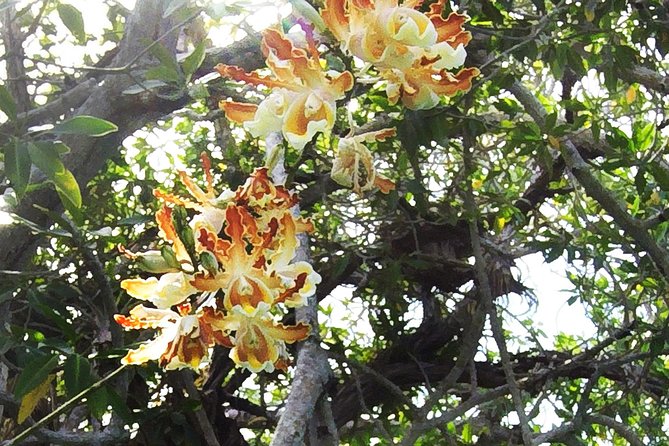 Tulum Archaeological Site & Sian Ka'an Muyil Tour from Tulum - How to prepare for a smoother day
