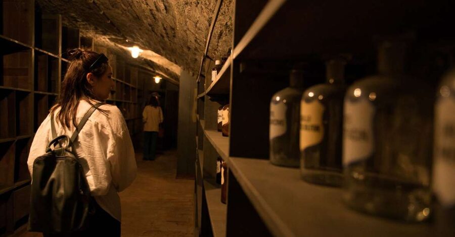Vienna: Historical Pharmacy Cellar Guided Tour - A closer look at the 160-year medical story
